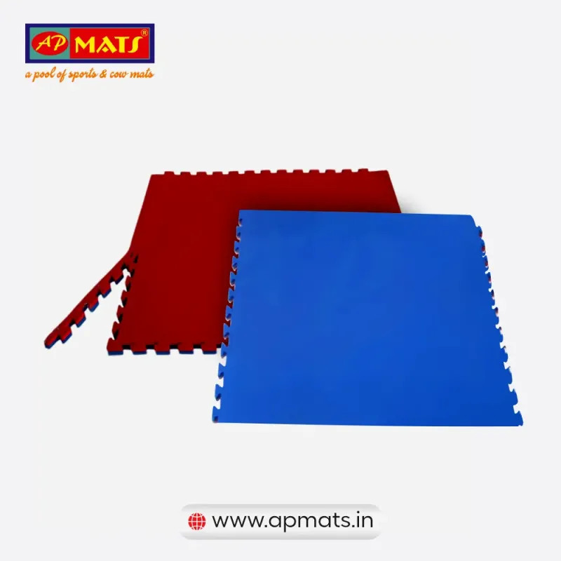 Kabaddi Mats Manufacturer in Delhi