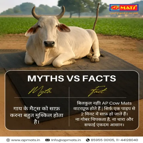 AP MATS (ANKIT POLYMERS)