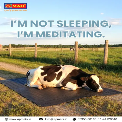 AP MATS (ANKIT POLYMERS)